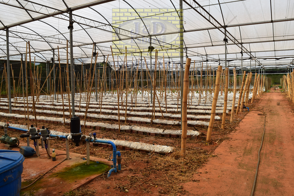 Sítio à venda, 4000m² - Foto 5