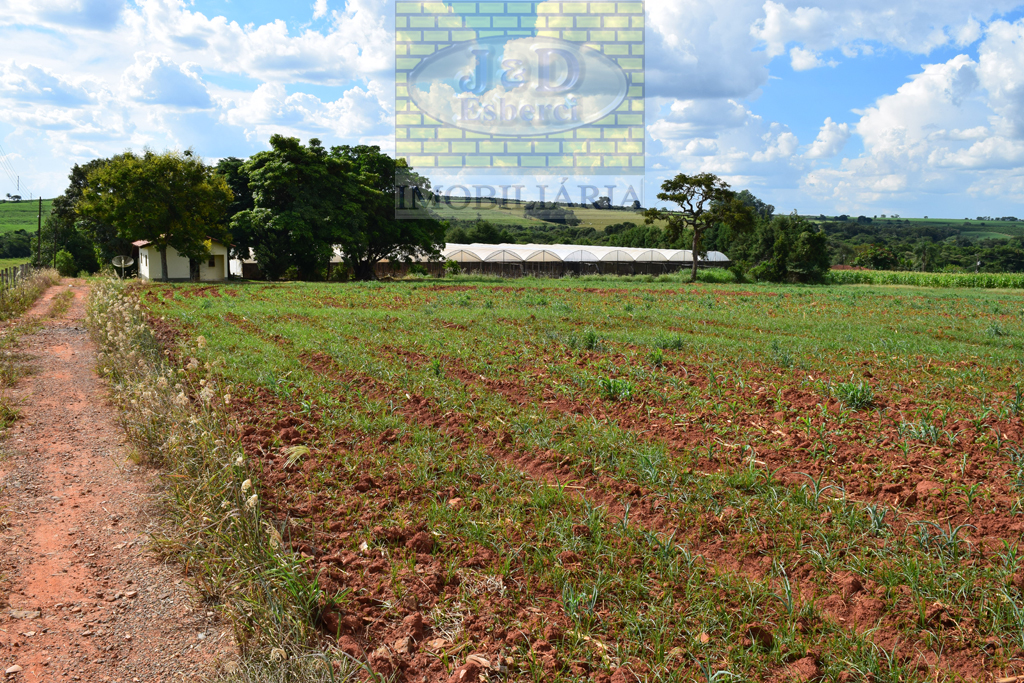 Sítio à venda, 4000m² - Foto 15