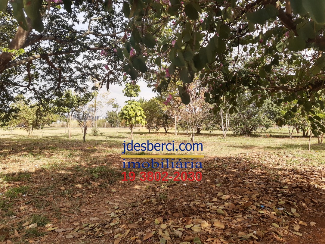 Chácara à venda com 2 quartos, 181m² - Foto 4