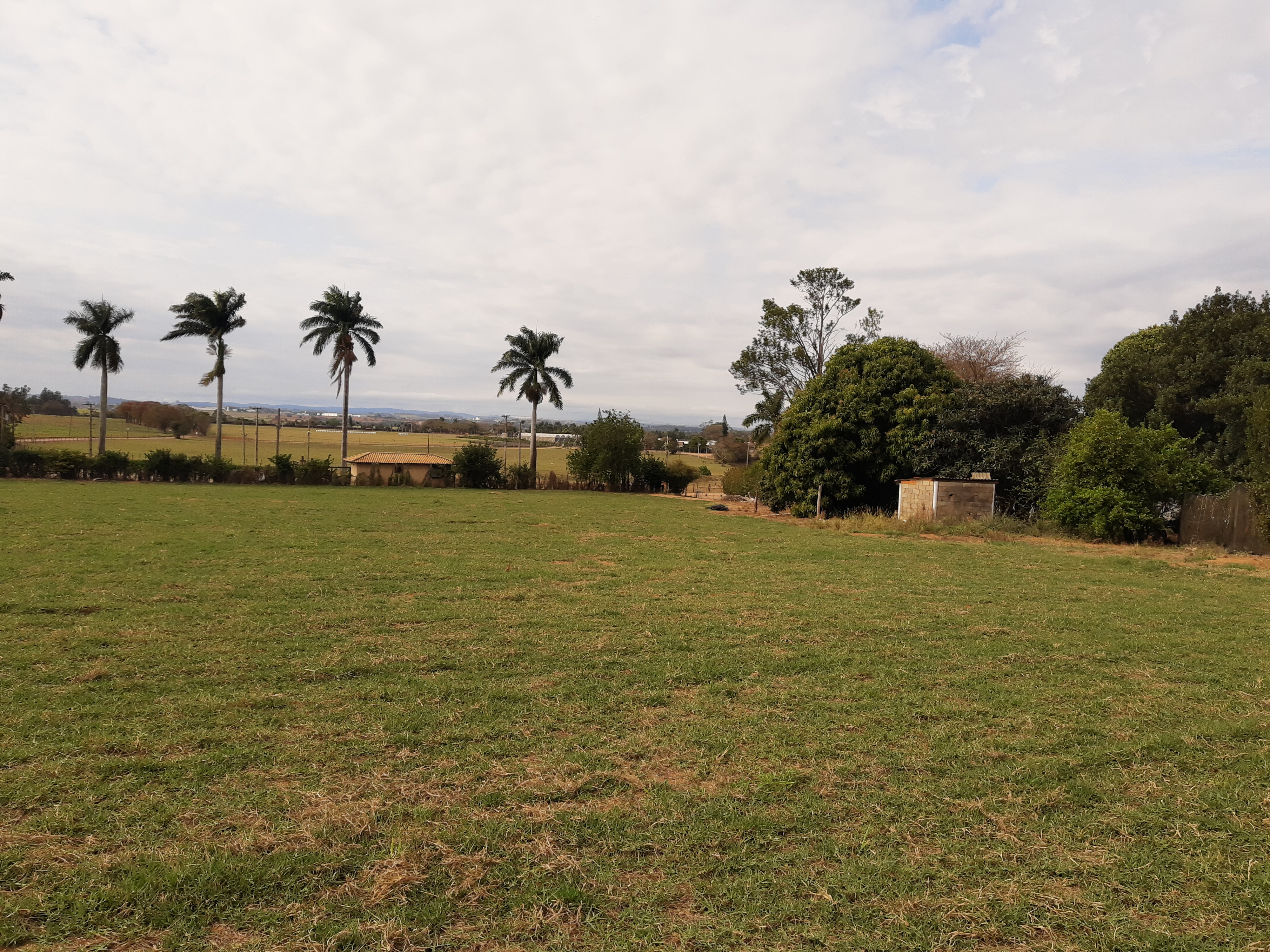 Chácara à venda e aluguel, 600m² - Foto 59